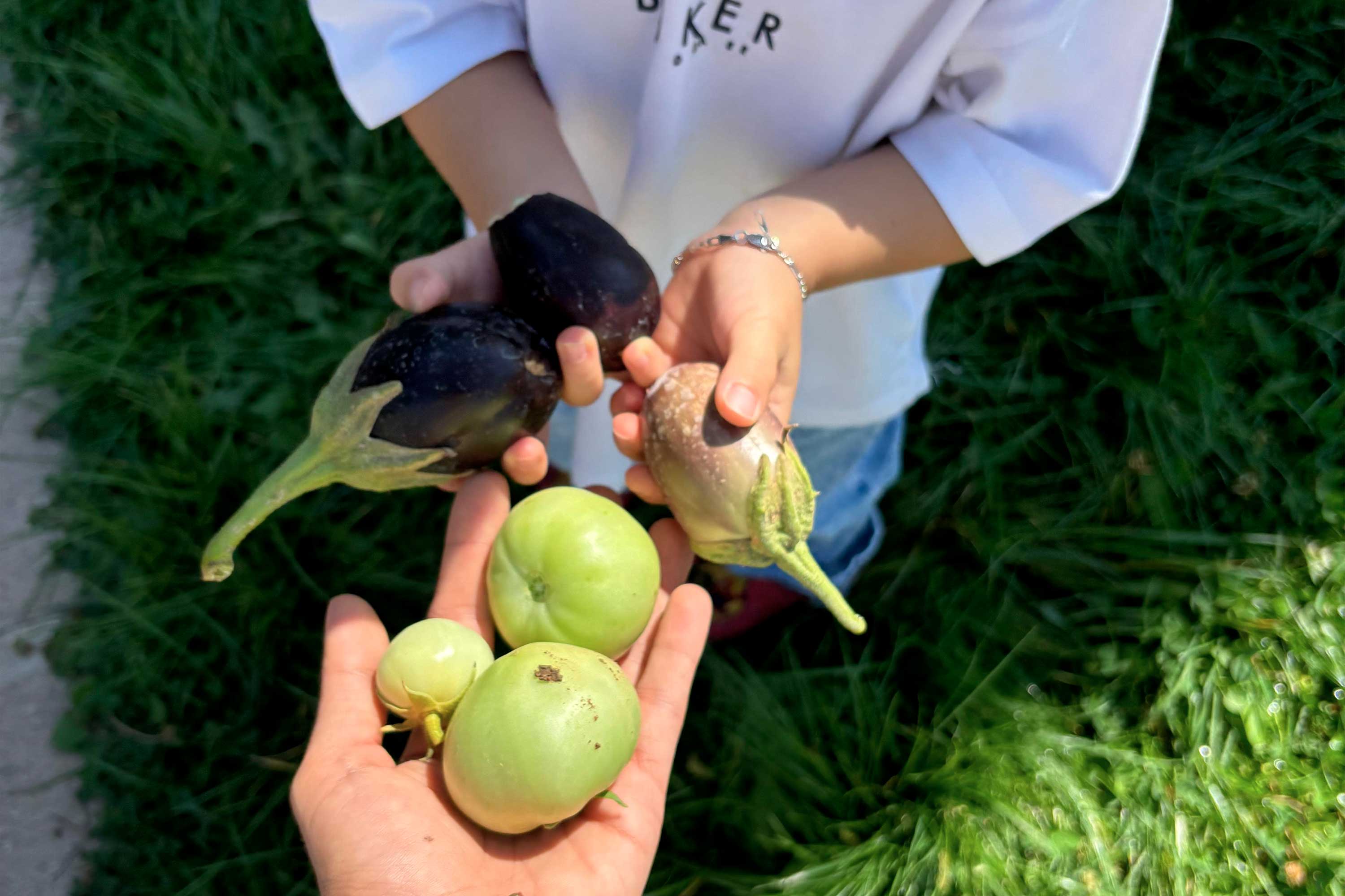 Hasat mutfağında doğal, dengeli ve sevgi dolu beslenme | Hasat Anaokulu